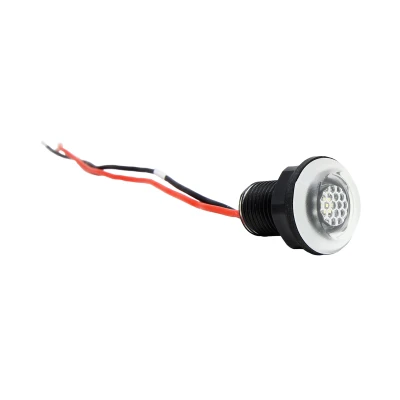 Baitwell Courtesy Light