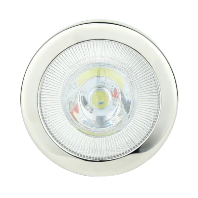 Vivid Flood Light_Stainless